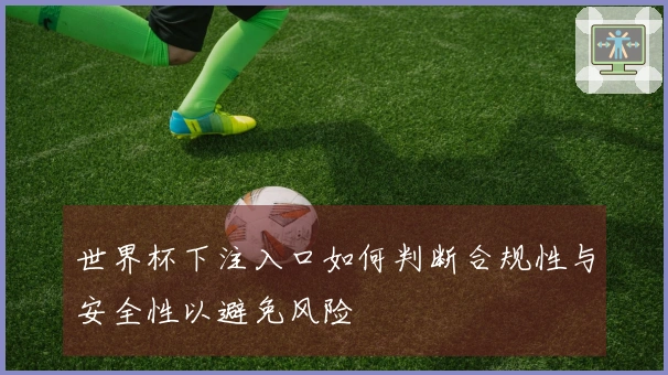 世界杯下注入口如何判断合规性与安全性以避免风险