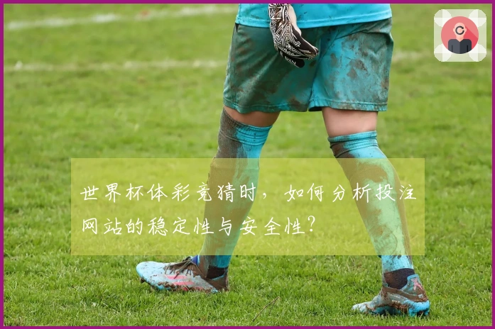 世界杯体彩竞猜时，如何分析投注网站的稳定性与安全性？