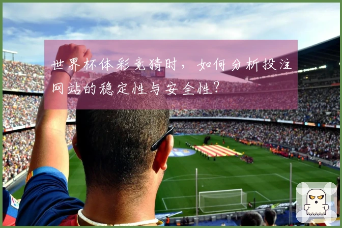 世界杯体彩竞猜时，如何分析投注网站的稳定性与安全性？